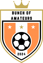Bunch Of Amateurs badge